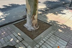 Mejoramos-la-infraestructura-verde-con-36-alcorques-en-la-Avenida-de-Malaga_1