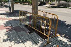 Mejoramos-la-infraestructura-verde-con-36-alcorques-en-la-Avenida-de-Malaga_2