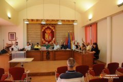 Pleno-Ordinario-del-24-de-julio-2025-5