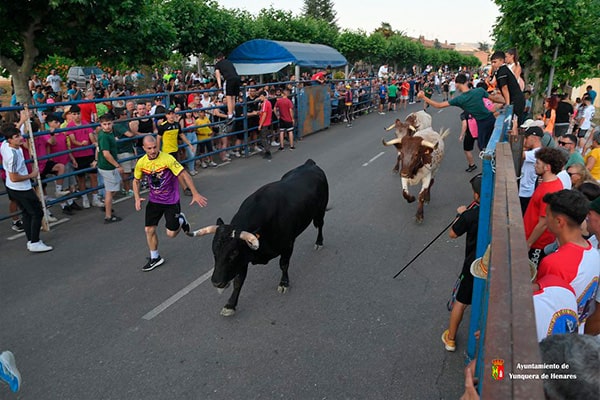 Encierro urbano de las Fiestas de San Pedro 2025
