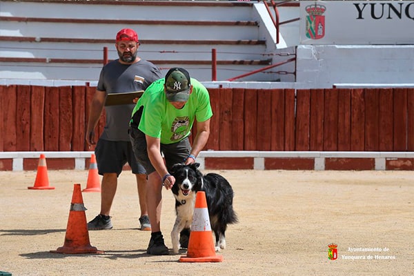 Prueba de detección deportiva con perro