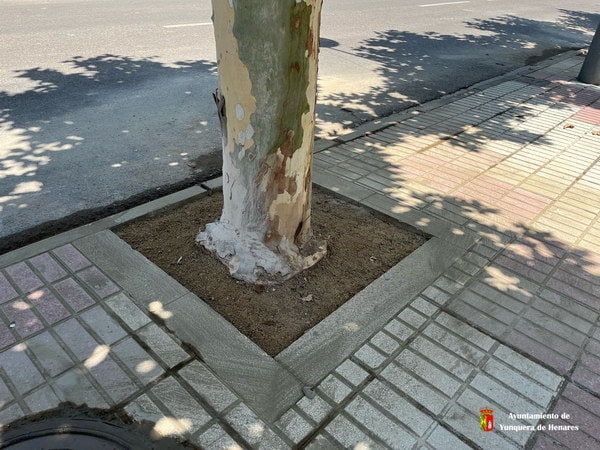 Mejoramos la infraestructura verde con 36 alcorques en la Avenida de Málaga