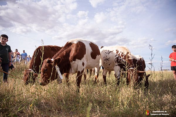 La Bajada Infantil tuvo luegar en la tarde del sábado
