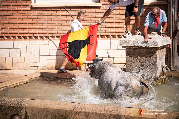 Emoción y mucha agua en el encierro por el pilón de Yunquera del día 18