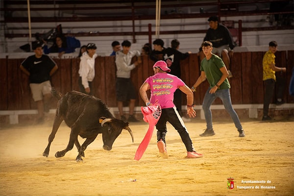 La suelta nocturna de vaquillas cierra el jueves 18