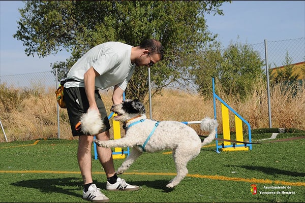 Taller práctico "Modo perro ON"