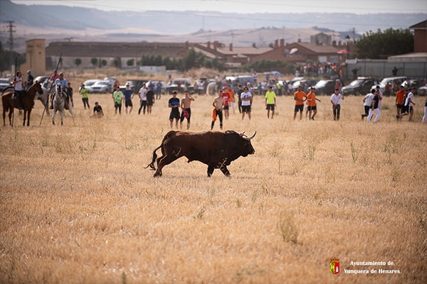Yunquera disfrutó de su encierro por el campo sin incendentes