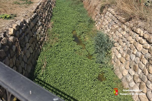 malestar por la gestión del convenio de limpieza de cauces