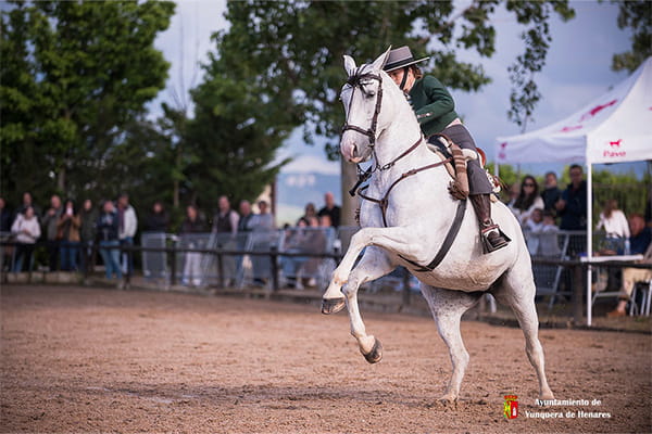 Yunquera de Henares disfrutó de una gran jornada ecuestre con el I Concurso de Doma Vaquera “Las Espuelas”