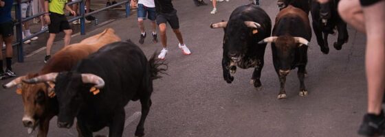"6 toros, 6" en el segundo encierro de San Pedro