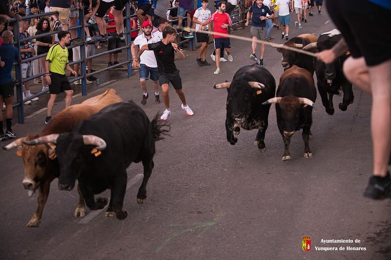"6 toros, 6" en el segundo encierro de San Pedro