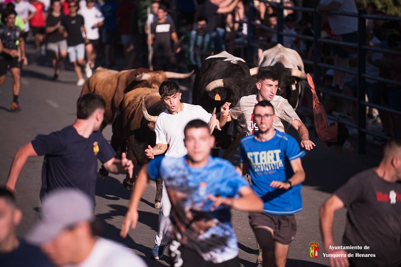 Los toros de Alcurrucen y Fuenterroble protagonizan un multitudinario primer encierro