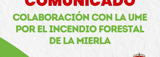 Incendio La Mierla