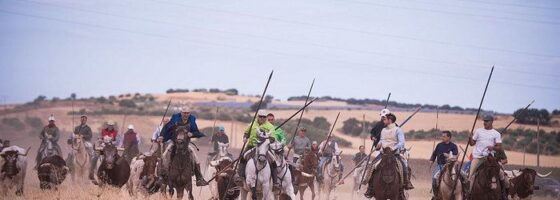 La Bajada 2026 rápida y emocionante