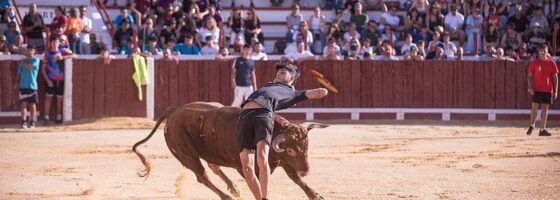 Los novillos de Dominguez Galan y las vaquillas protagonizan un novedoso encierro