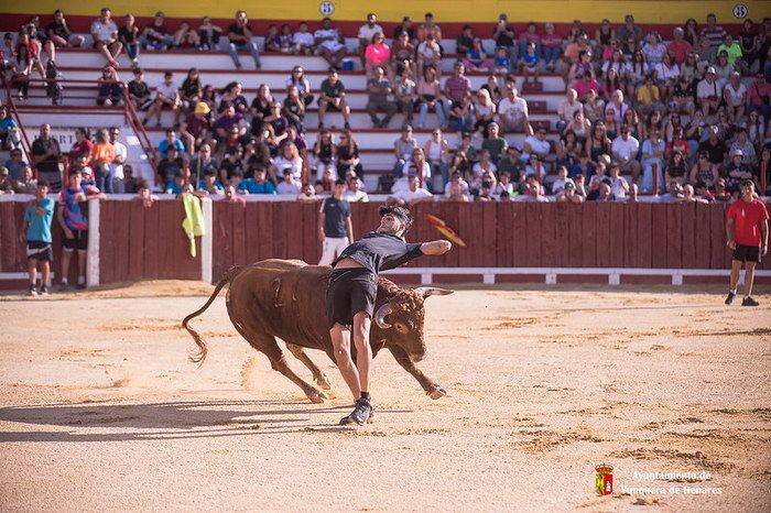 Los novillos de Dominguez Galan y las vaquillas protagonizan un novedoso encierro