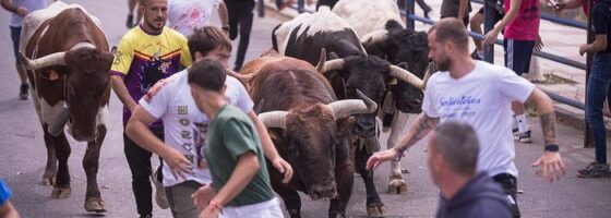 Los toros de Los Chatos y Fuenterroble inauguran la feria taurina 2026 en Yunquera