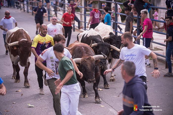 Los toros de Los Chatos y Fuenterroble inauguran la feria taurina 2026 en Yunquera