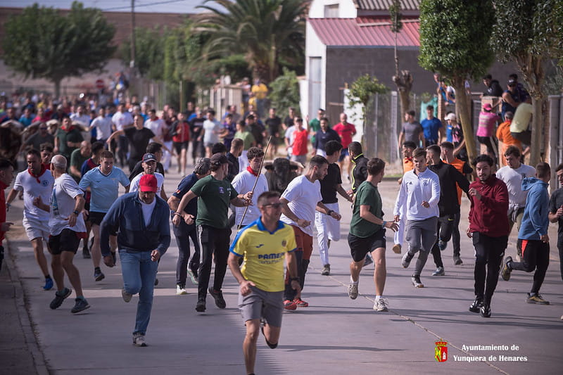 Un imponente toro de La Glorieta protagoniza el ultimo encierro por el campo