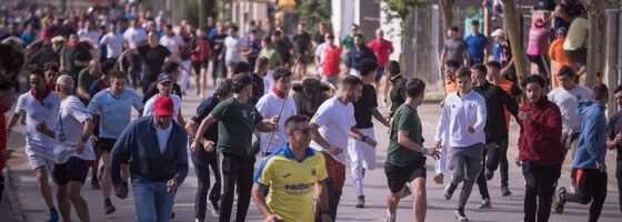 Un utrero de Sanchez de Alba protagonista del primer encierro por el campo