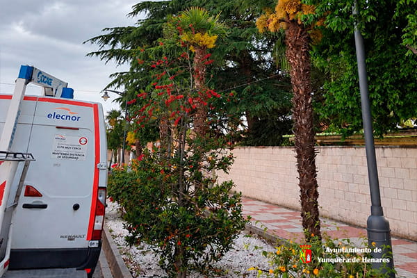 información | incidencias en el alumbrado público